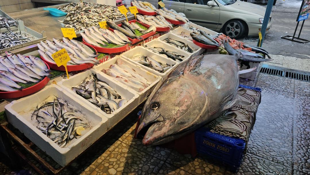 Tutulduğu Atlantik Okyanusu ndan Erzincan a getirildi! Vatandaşların ilgi odağı oldu 1