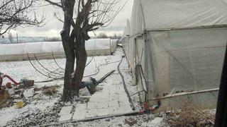 Son dakika: Kar yağışı sebebiyle seralar buz tuttu