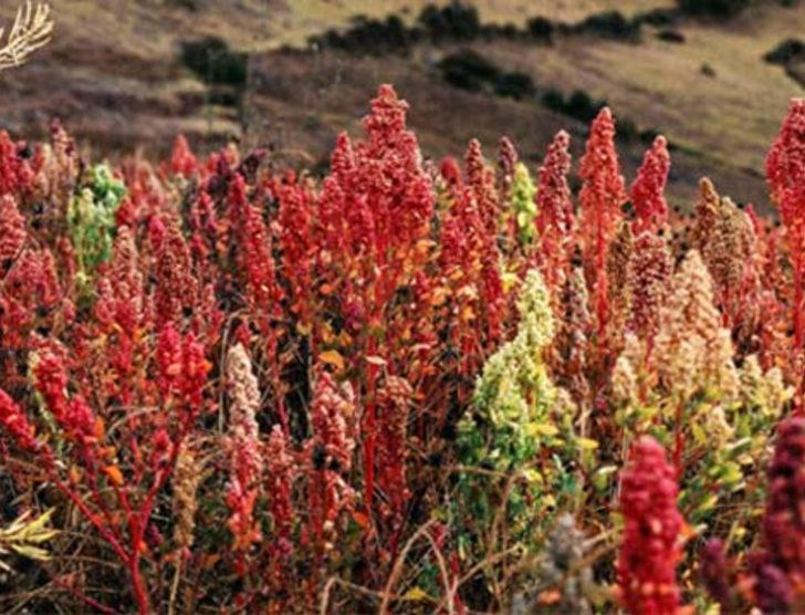 Az parayla yapılabilecek 15 iş G4