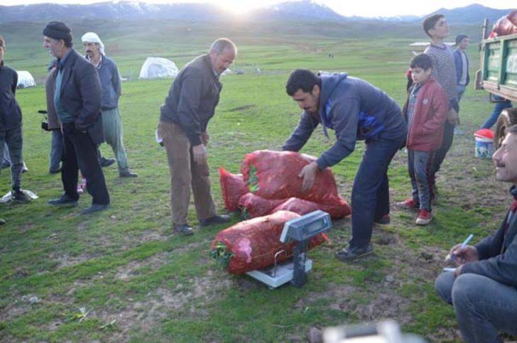 7'den 70'e herkese kazandırıyor! G4