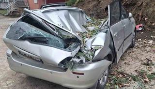 Giresun&rsquo;da devrilen ağa&ccedil; bir aracı kullanılamaz hale getirdi