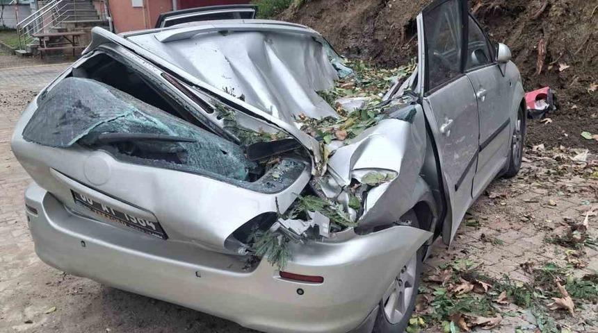 Giresun&rsquo;da devrilen ağa&ccedil; bir aracı kullanılamaz hale getirdi