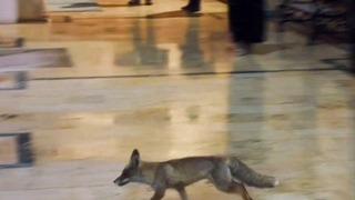 Son dakika: Balıklıg&ouml;l&rsquo;e s&uuml;rpriz ziyaret&ccedil;i