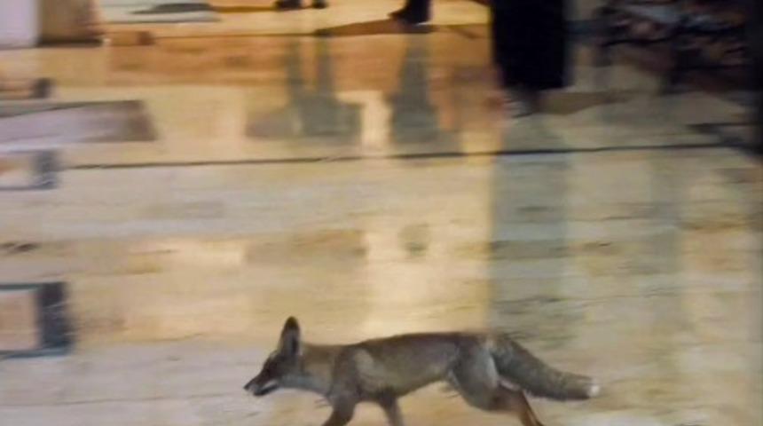 Balıklıg&ouml;l&rsquo;e s&uuml;rpriz ziyaret&ccedil;i