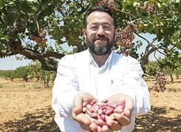 Fıstığın kilosu 15-50 TL olmalı!