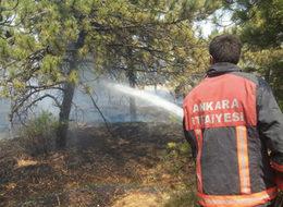 ‘Çiftlik’te 900 dekar orman yol oldu