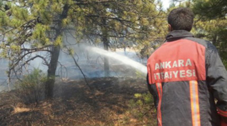 ‘Çiftlik’te 900 dekar orman yol oldu