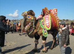 Önce güreşiyorlar sonra sucuk oluyorlar