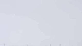 Diyarbakır’da kurtlar yerleşim yerlerine indi