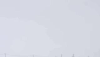 Diyarbakır&rsquo;da kurtlar yerleşim yerlerine indi