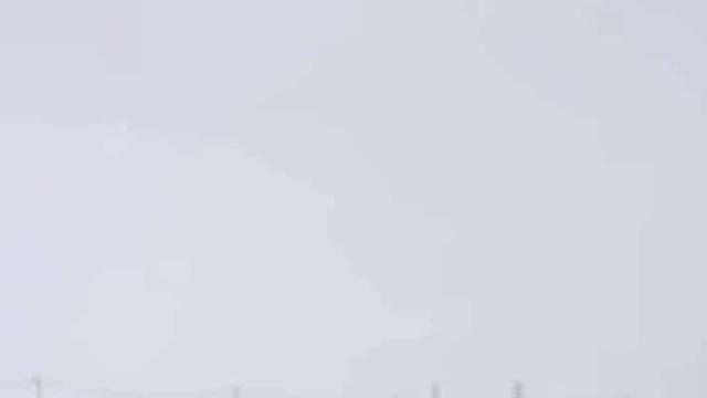 Diyarbakır’da kurtlar yerleşim yerlerine indi