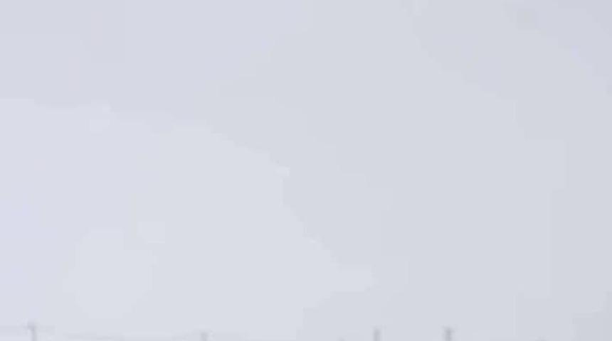 Diyarbakır&rsquo;da kurtlar yerleşim yerlerine indi