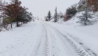 Musabeyli beyaza b&uuml;r&uuml;nd&uuml;