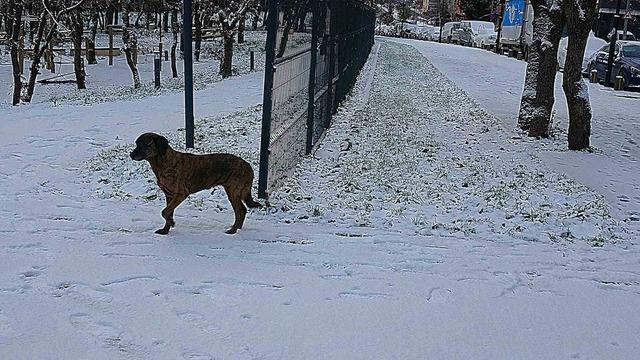 İstanbul&rsquo;un y&uuml;ksek kesimleri beyaza b&uuml;r&uuml;nd&uuml; 1