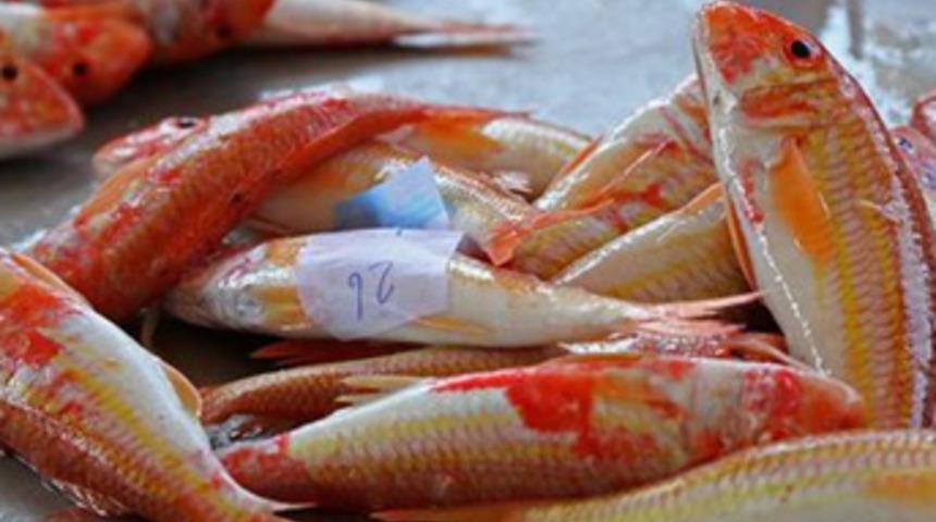 Yasak kalktı, fiyatlar yarı yarıya düştü