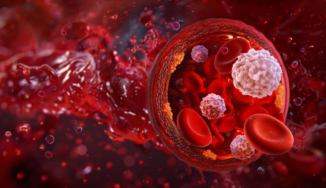 En riskli kan grubu hangisi? Hastalıkların kanında gizli olabilir! 2