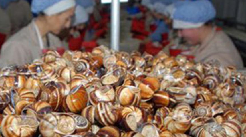 Yıllık ihracat geliri 8 milyon dolar