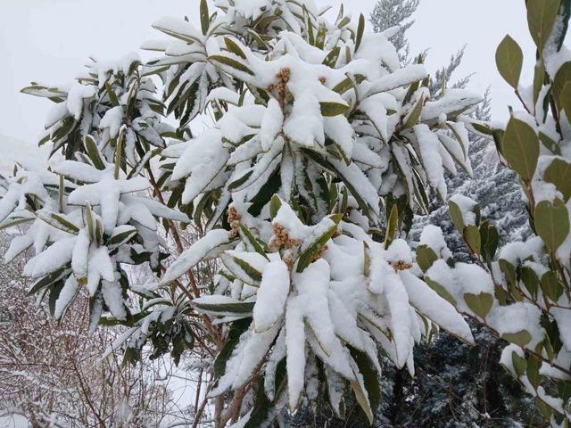 P&uuml;t&uuml;rge&rsquo;de kartpostallık g&ouml;r&uuml;nt&uuml;ler 1