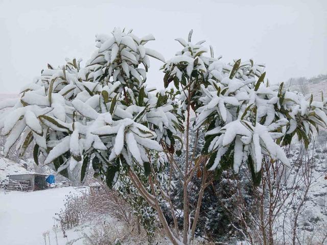 P&uuml;t&uuml;rge&rsquo;de kartpostallık g&ouml;r&uuml;nt&uuml;ler 2