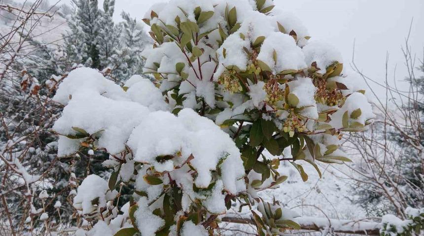 P&uuml;t&uuml;rge&rsquo;de kartpostallık g&ouml;r&uuml;nt&uuml;ler