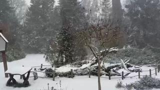 Sarıyer’in yüksek kesimleri karla kaplandı