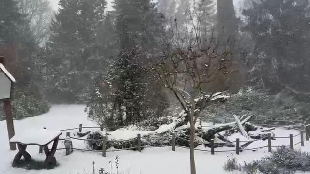 Sarıyer’in yüksek kesimleri karla kaplandı