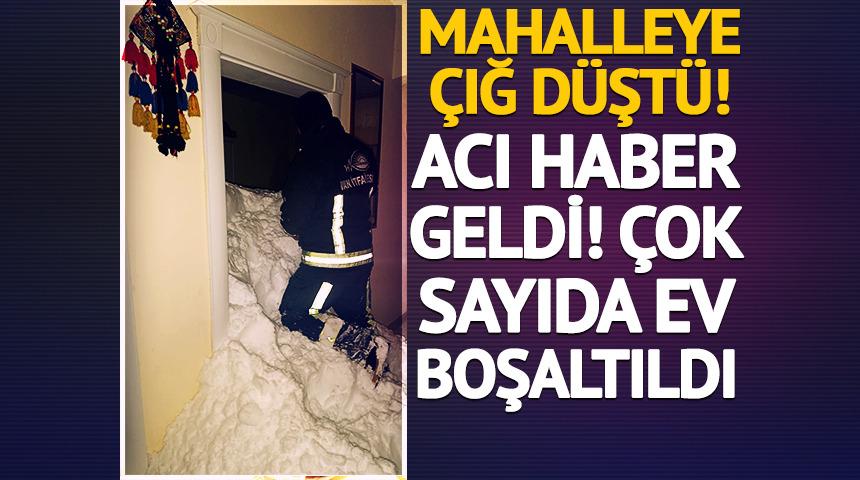 Van'da &ccedil;ığ kabusu! Kayıp kişi saatler sonra kurtarıldı, 20 ev tahliye edildi