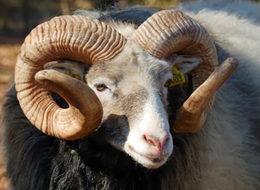 Bayramda bunlara dikkat!