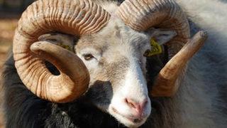 Bayramda bunlara dikkat!