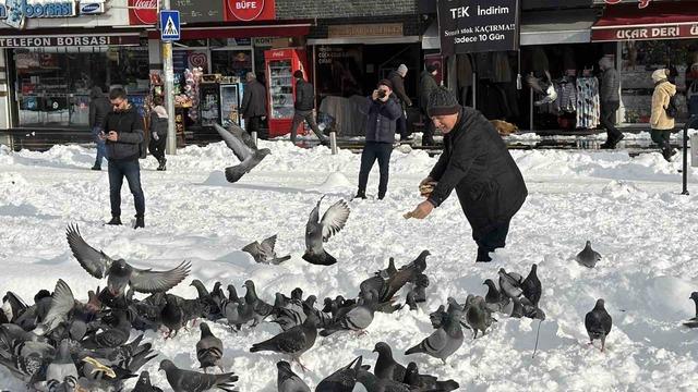 G&uuml;vercinleri yemleyen vatandaş y&uuml;rekleri ısıttı 7