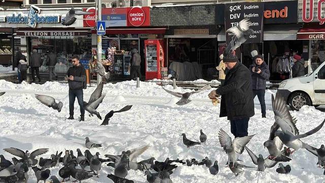 G&uuml;vercinleri yemleyen vatandaş y&uuml;rekleri ısıttı 5