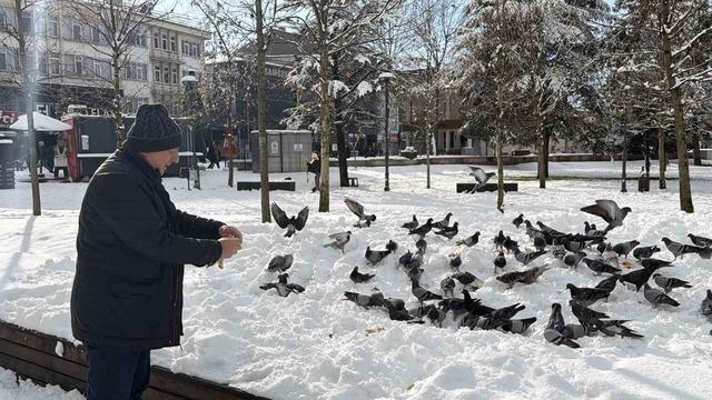 G&uuml;vercinleri yemleyen vatandaş y&uuml;rekleri ısıttı 4