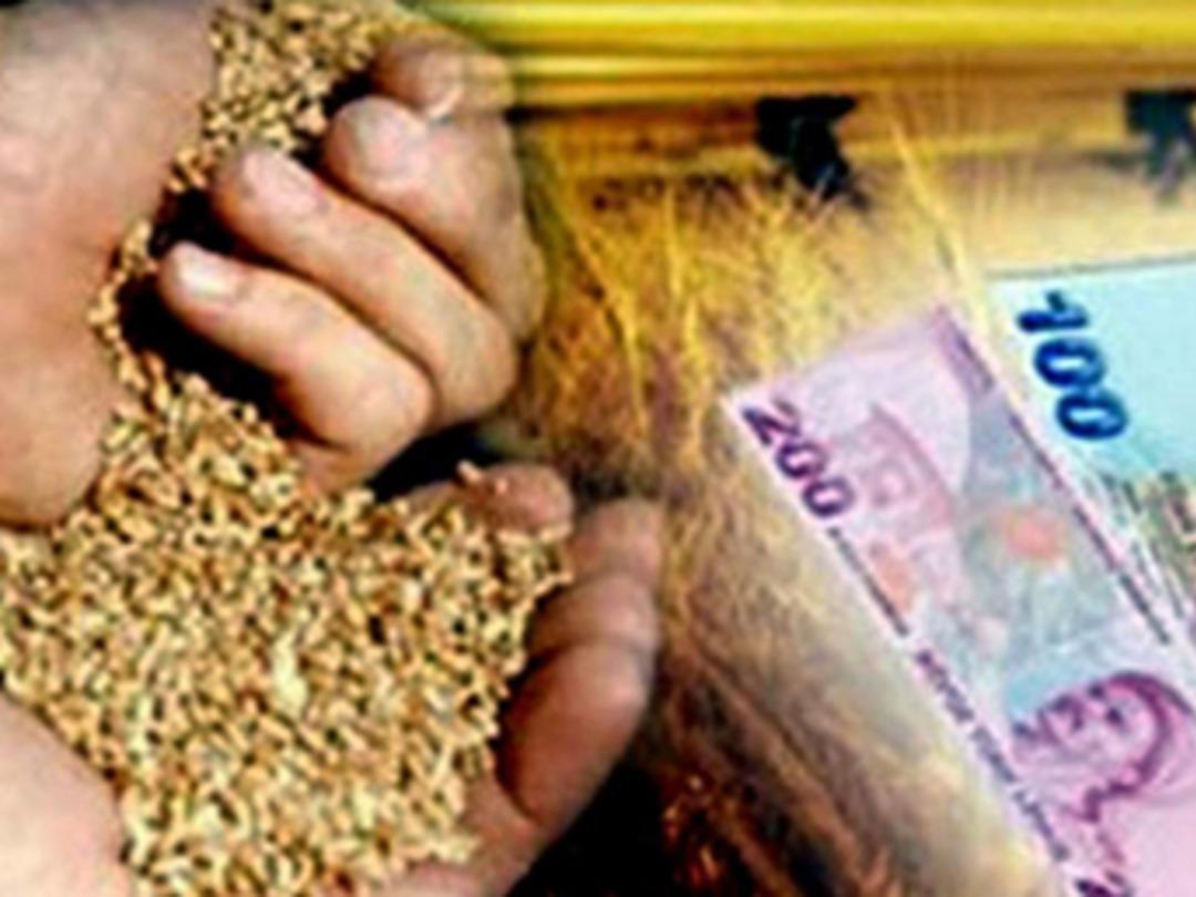 Anadolu'nun en b&uuml;y&uuml;k 50 şirketi