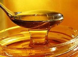 Bakan açıkladı! Balda korkunç gerçek!