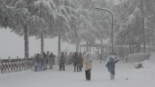 Ordu'da yeni yılın ilk kar yağışı etkili oldu