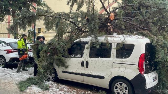 Kökünden sökülen ağaç park halindeki aracın üzerine devrildi