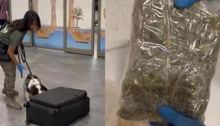 Yolcu valizindeki mısır gevreği kutularından uyuşturucu &ccedil;ıktı