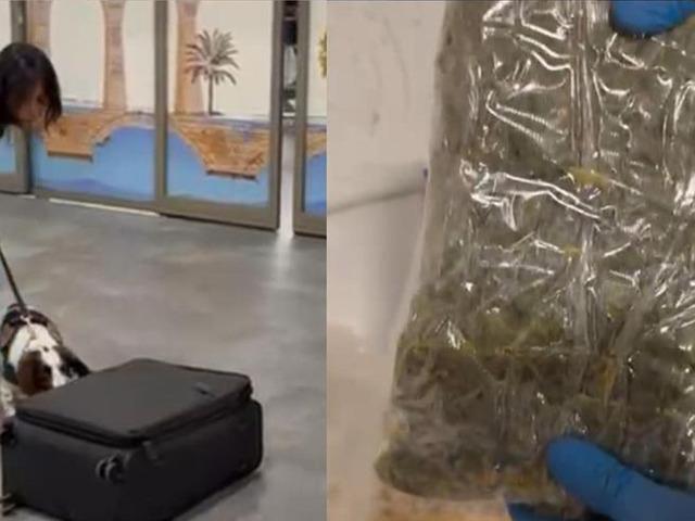 Yolcu valizindeki mısır gevreği kutularından uyuşturucu &ccedil;ıktı