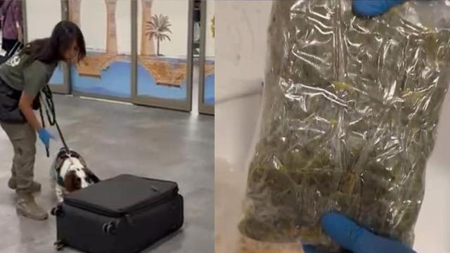 Uçakla gelen yolcunun valizindeki mısır gevreği kutularından uyuşturucu çıktı