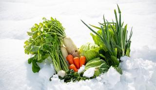 Kış ayında sebze ekilir mi? Dayanıklı 10 sebze a&ccedil;ıklandı!