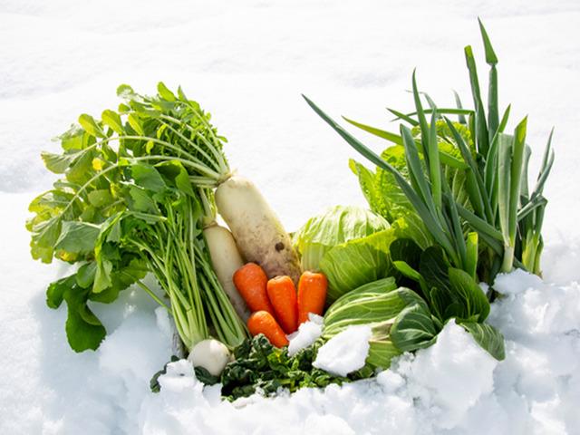 Kış ayında sebze ekilir mi? Dayanıklı 10 sebze a&ccedil;ıklandı!