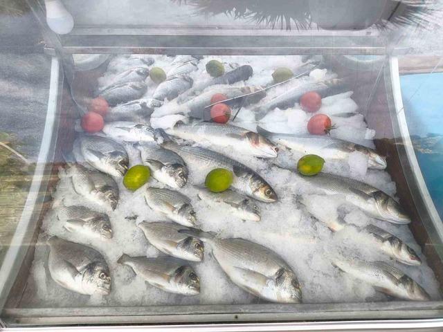 S&ouml;ke&rsquo;de 814 su &uuml;r&uuml;n denetimi yapıldı 2