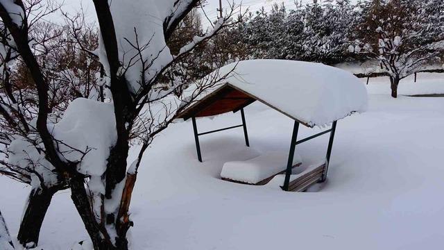 Bitlis kara g&ouml;m&uuml;ld&uuml;: 294 k&ouml;y yolu ulaşıma kapandı 4