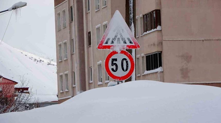 Bitlis kara g&ouml;m&uuml;ld&uuml;: 294 k&ouml;y yolu ulaşıma kapandı