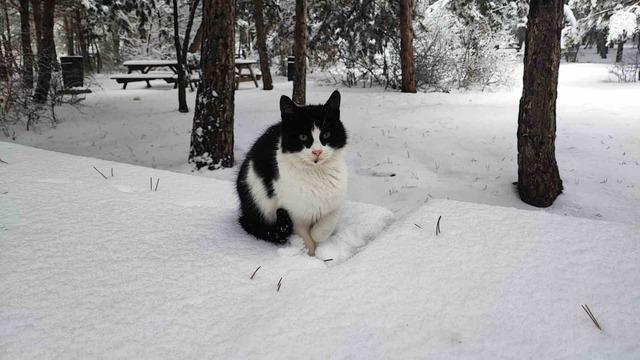 Yozgat&rsquo;ta kar bereketi: Hem doğa sevindi hem &ccedil;ocuklar 4