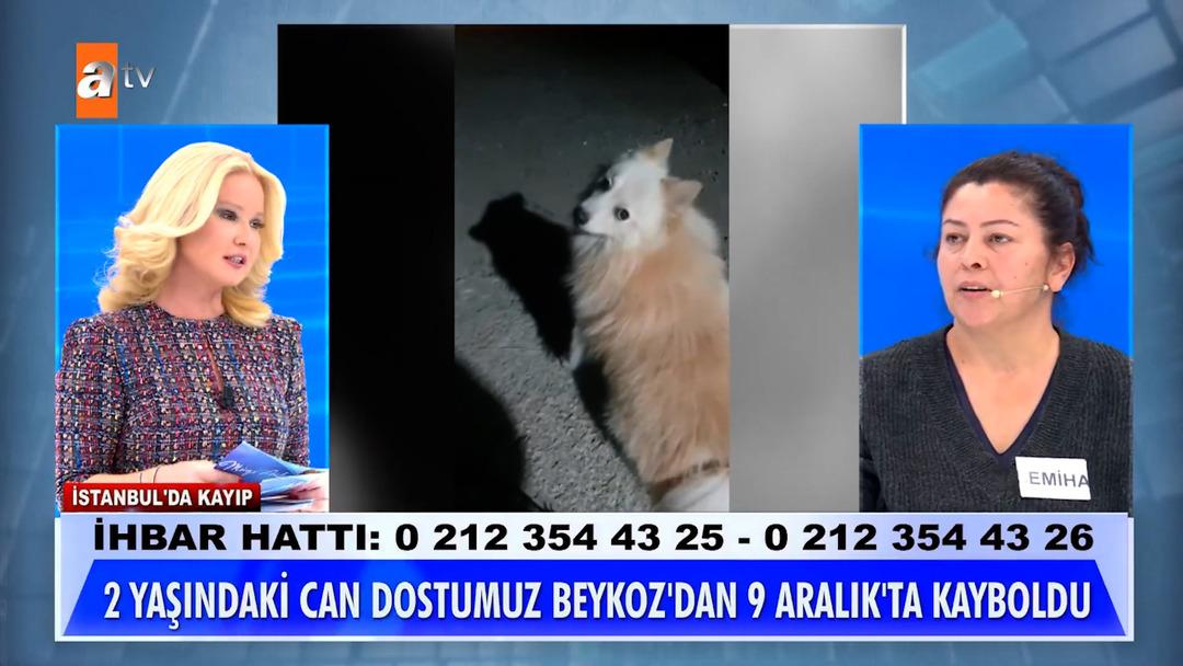 K&ouml;peği kaybolan kadın M&uuml;ge Anlı ya &ccedil;ıktı: "Kocam kaybolsa bu kadar &uuml;z&uuml;lmezdim" 1