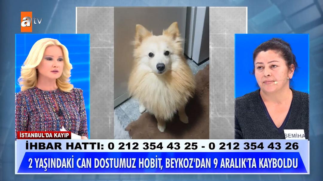 K&ouml;peği kaybolan kadın M&uuml;ge Anlı ya &ccedil;ıktı: "Kocam kaybolsa bu kadar &uuml;z&uuml;lmezdim" 3
