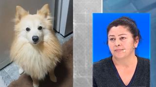 Son dakika: K&ouml;peği kaybolan kadın M&uuml;ge Anlı'ya &ccedil;ıktı: "Kocam kaybolsa bu kadar &uuml;z&uuml;lmezdim"