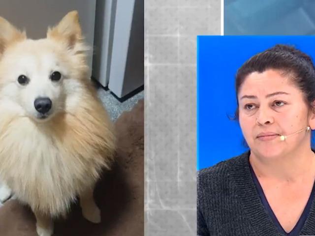 Kocam kaybolsa bu kadar &uuml;z&uuml;lmezdim