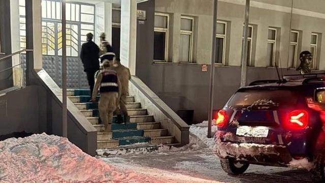 Yer: Tunceli! Yavru köpeğe eziyet eden şahıs tutuklandı